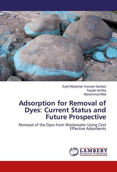 Adsorption for Removal of Dyes: Current Status and Future Prospective