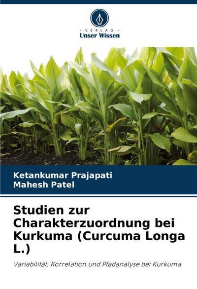 Studien zur Charakterzuordnung bei Kurkuma (Curcuma Longa L.)