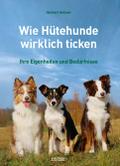 Wie Hütehunde wirklich ticken