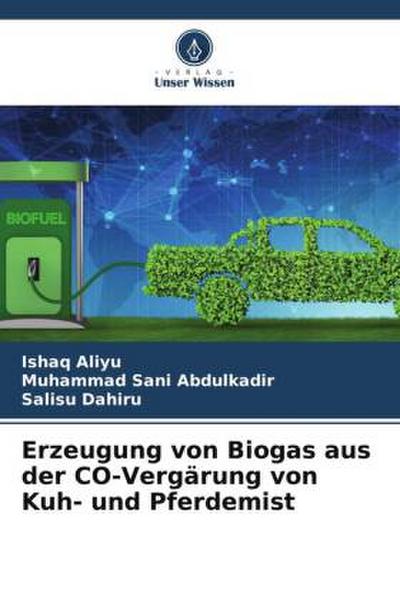 Erzeugung von Biogas aus der CO-Vergärung von Kuh- und Pferdemist