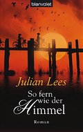 So fern wie der Himmel: Roman