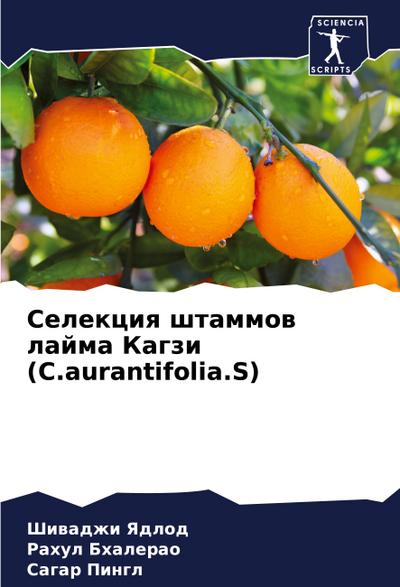Selekciq shtammow lajma Kagzi (C.aurantifolia.S)