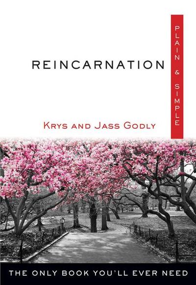 Reincarnation Plain & Simple: The Only Book You’ll Ever Need