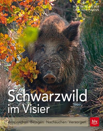 Schwarzwild im Visier