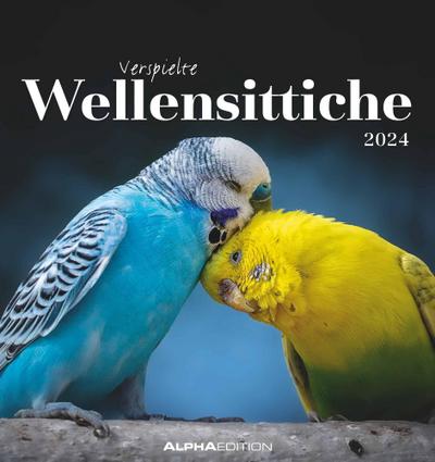 Wellensittiche 2024 - Postkartenkalender 16x17 cm - Budgies - zum Aufstellen oder Aufhängen - Monatskalendarium - Gadget - Mitbringsel - Alpha Edition