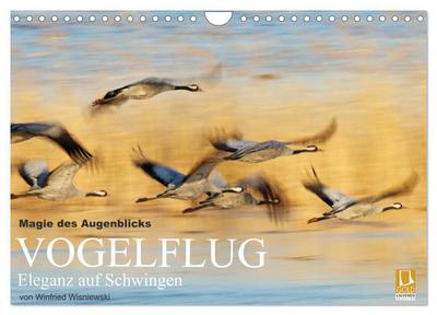 Magie des Augenblicks - Vogelflug - Eleganz auf Schwingen (Wandkalender 2024 DIN A4 quer), CALVENDO Monatskalender