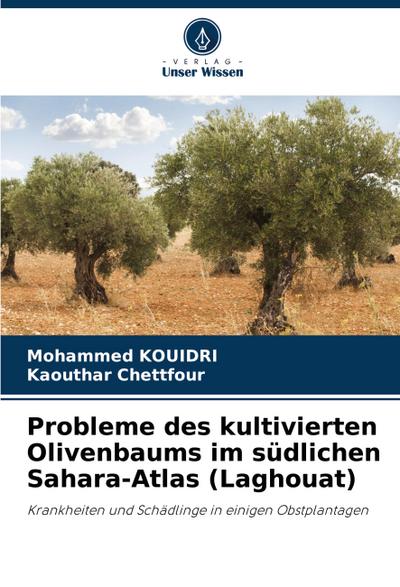 Probleme des kultivierten Olivenbaums im südlichen Sahara-Atlas (Laghouat)