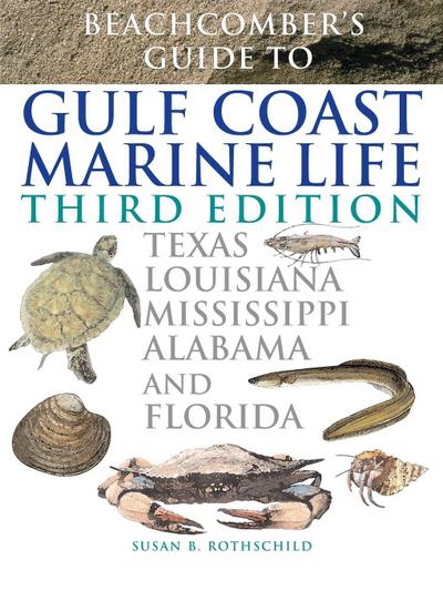 Beachcomber’s Guide to Gulf Coast Marine Life