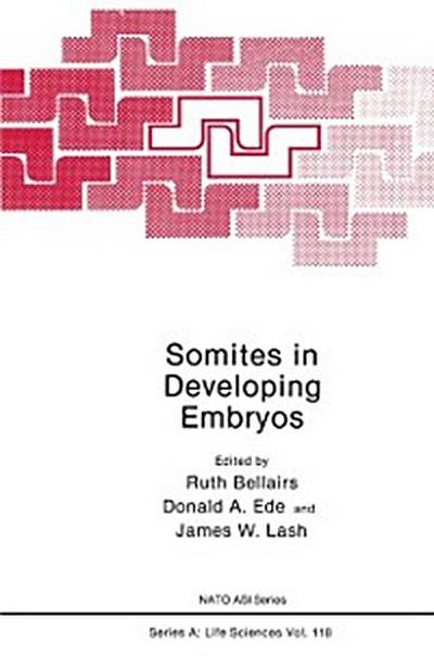 Somites in Developing Embryos