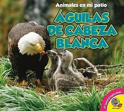 Aguilas de Cabeza Blanca