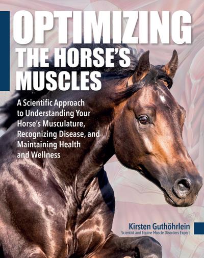 Optimizing the Horse’s Muscles