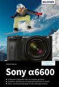 Sony A6600