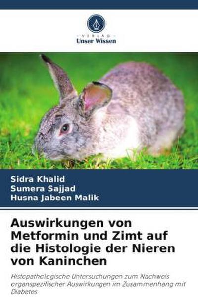 Auswirkungen von Metformin und Zimt auf die Histologie der Nieren von Kaninchen