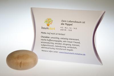 Baumstark Handschmeichler 45 mm mit Baumhoroskop, Holz, Pappel, 8 x 11.5 x 2.8 cm