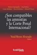 ¿Son compatibles las amnistías y la Corte Penal Internacional?