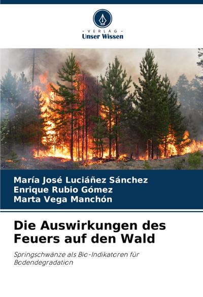 Die Auswirkungen des Feuers auf den Wald