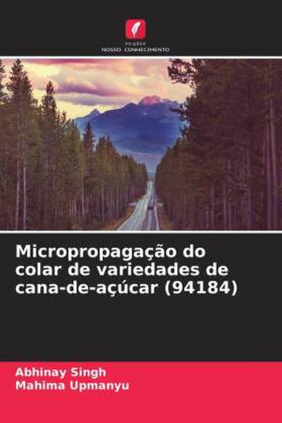 Micropropagação do colar de variedades de cana-de-açúcar (94184)