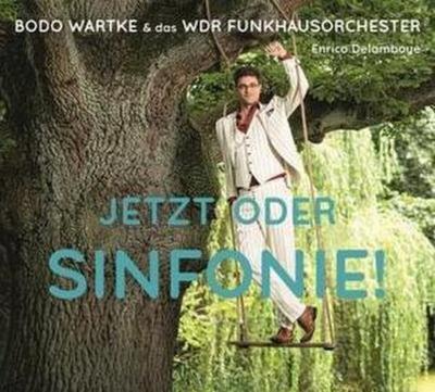 Jetzt oder Sinfonie !, 1 Audio-CD