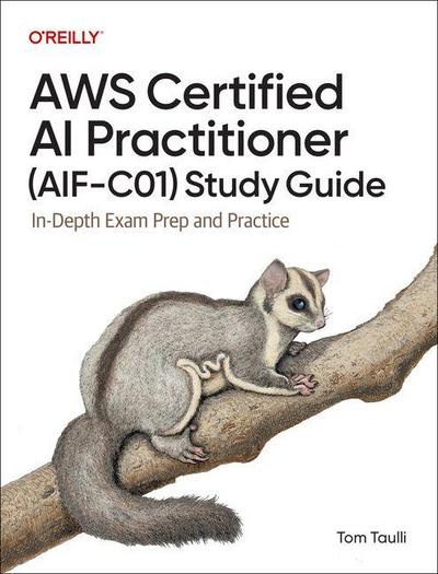 AWS Certified AI Practitioner (Aif-C01) Study Guide