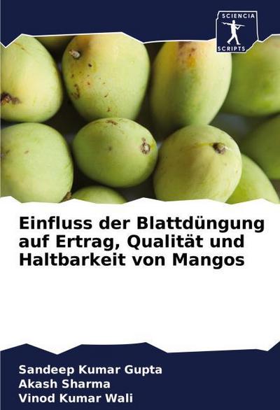 Einfluss der Blattdüngung auf Ertrag, Qualität und Haltbarkeit von Mangos