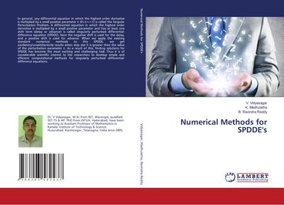 Numerical Methods for SPDDE’s