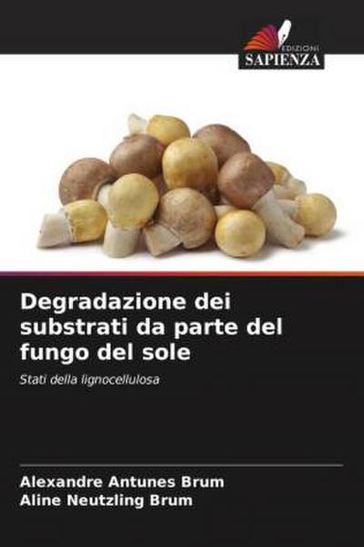 Degradazione dei substrati da parte del fungo del sole