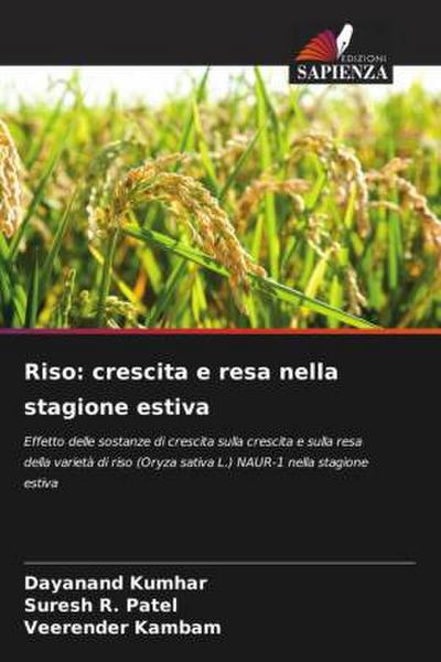 Riso: crescita e resa nella stagione estiva