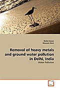 Removal of heavy metals and ground water pollution