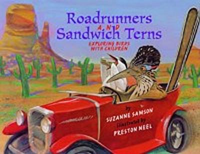 Road Runners & Sandwich Terns