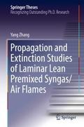 Propagation and Extinction Studies of Laminar Lean