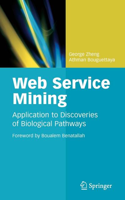 Web Service Mining