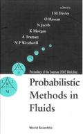 PROBABILISTIC METHODS IN FLUIDS