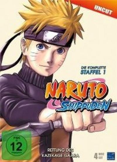 Naruto Shippuden - Staffel 01 (F.221-252)