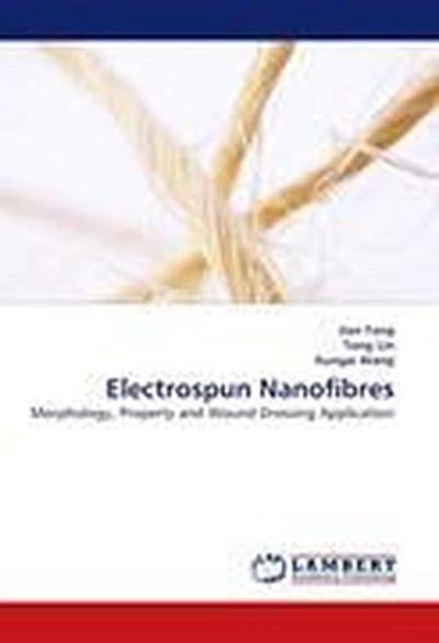 Electrospun Nanofibres