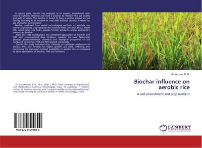 Biochar influence on aerobic rice