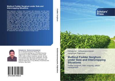 Multicut Fodder Sorghum under Sole and Intercropping Situations