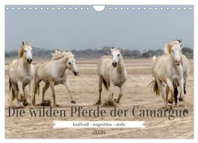 Die wilden Pferde der Camargue (Wandkalender 2026 DIN A4 quer), CALVENDO Monatskalender