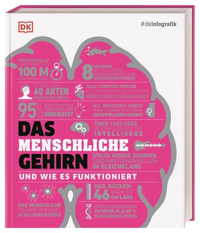 #dkinfografik. Das menschliche Gehirn und wie es funktioniert