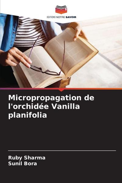 Micropropagation de l’orchidée Vanilla planifolia