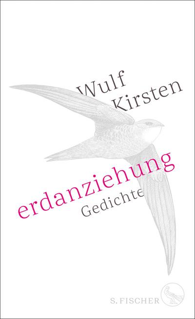 Erdanziehung