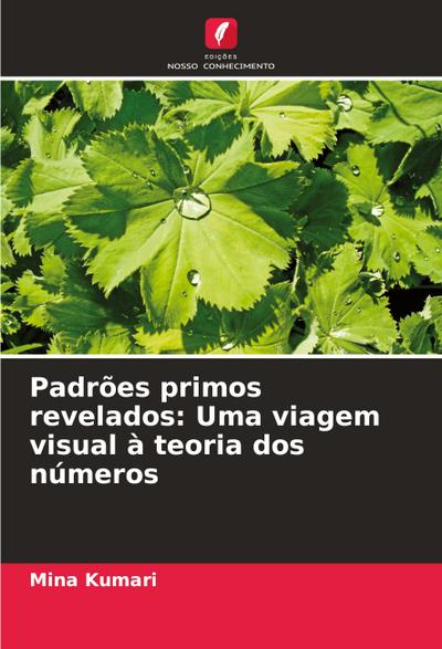 Padrões primos revelados: Uma viagem visual à teoria dos números