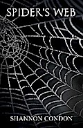 Spider’s Web