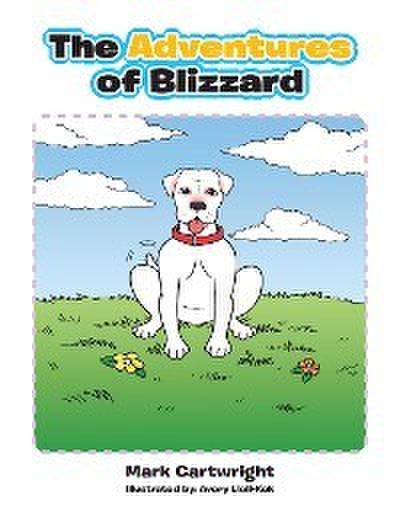 The Adventures of Blizzard