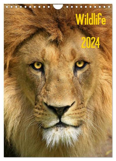 Wildlife 2024 (Wandkalender 2024 DIN A4 hoch), CALVENDO Monatskalender