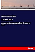 The Last Link