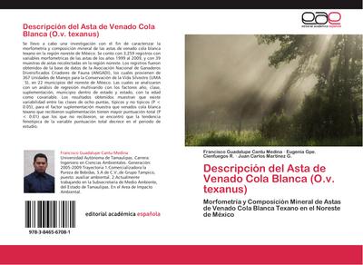 Descripción del Asta de Venado Cola Blanca (O.v. texanus)