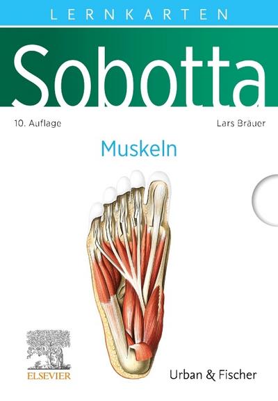 Sobotta Lernkarten Anatomie: Muskeln