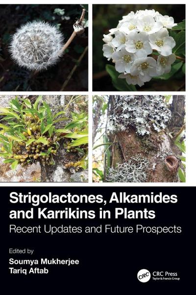 Strigolactones, Alkamides and Karrikins in Plants