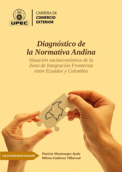 Diagnóstico de la Normativa Andina