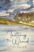 Testing the Wind